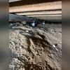 We installed 7 SmartJack XT support jacks in this customer's crawl space, helping lift their sagging floors back into place.