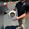 Fairview NC - Radon Fan Replacement