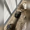 This corner of the home was sinking, causing cracks to appear throughout different levels of the home. Our piers will stabilize the home for its entire lifetime, and they come with a free transferable warranty. This photo also shows our WaterGuard drains, which run along the top of the homes...