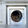 In total, there were over 12 vents that were clogged with nesting debris from the nuisance birds.