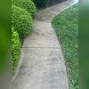 Concrete walkway before cleaning