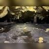 This crawl space had a lot of standing water, which over time caused a lot of humidity and moisture. The fiberglass insulation got damp and heavy over time, making it sag. This caused it to lose insulation value, which in turn causes the floors in the home to become cold. Rodents also love using...