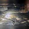 Moisture buildup and stagnant air were creating unhealthy conditions in the crawl space.