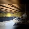 This crawl space had a water problem and the fiberglass insulation was only making matters worse by retaining moisture and attracting mold.