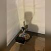 The TripleSafe Sump System offers 3 levels of protection to ensure that this homeowners basement always remain dry, even in the event of our. power outage!
