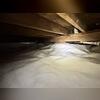CleanSpace has a bright white finish that helps you easily see your crawl space is cleaner and drier.