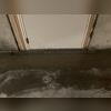 TrenchDrain is installed in front of the basement door that leads outside to catch excess and surface water.