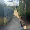 The homeowner wanted a safe, smooth surface without the eyesore of gaps.