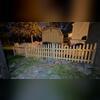Natural Concave Gothic Picket Pressure Treated Wood/ (1) Double 8' gate