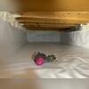 The final result shows a fully encapsulated crawlspace enhanced with spray foam at key joints for optimal energy efficiency. The CleanSpace&reg; liner provides long-lasting protection against odors, moisture, and mold.