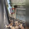 During our inspection we found multiple gaps around utility pipes, door frames, and basement windows around the home.