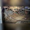 This photo shows the crawl space in its original condition, highlighting extensive damage caused by moisture and long-term neglect. Insulation is falling from the floor joists, ductwork is exposed, and debris is scattered throughout the area. The uneven soil and hanging wiring create a hazardous...