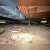 Here you can see the dirt floor crawl space that was causing unwanted odors in this East Moline, IL home. What causes these odors? It's primarily the presence of excess moisture which lead to the growth of mold and mildew on organic materials like wood. Without proper intervention, these issues...