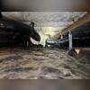 This crawlspace was dark, and neglected and the perfect environment for pests and rodents.