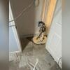 The drainage system connects with the sump pump so water can be removed from the basement.