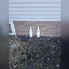 Water is pumped out of the basement through the discharge lines which are installed with added protection and peace of mind to know that if there is a clog or frozen discharge lines water is being drained properly always to the outside.