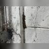The loading dock was infested with ladybugs!