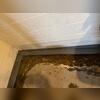 WaterGuard is placed below the footer to collect wall and floor seepage before damage can occur.