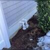 The IceGuard discharge line system is installed on the outside of the home and prevents flooding in the event of a clogged or frozen discharge line.