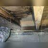 High humidity and moisture in your crawl space can wreak havoc on your crawl space and the rest of your home. Moisture often leads to mold growth, ultimately resulting in wood rot and other issues. Wood rot can be particularly hazardous because it compromises the structural integrity of your home.