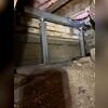These durable supports strengthen the foundation while creating a safer, more level living space above.