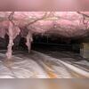 This Hillsborough, NC crawl space was showing clear signs of moisture problems and failing insulation. The fiberglass insulation had become saturated and was sagging between the floor joists a common symptom of excess humidity and poor crawl space ventilation. When insulation absorbs moisture, it...