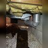 We sent our Sales Inspector, Tim, to assess the foundation and crawl space of the home. He identified several signs of foundation settlement and water entry in the crawl space.