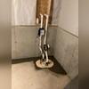 The TripleSafe Sump Pump System was installed to provide a highly reliable method of removing groundwater from the home. As water is directed into the sump liner from the WaterGuard system, the three‑pump configuration responds automatically based on the volume of water entering the basin. Under...