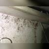 Before repairs began, mold was clearly visible on the wooden floor joists throughout the crawl space. The prolonged moisture exposure had allowed organic growth to spread along the framing, contributing to odors and declining air quality inside the home. This visible mold made proper...