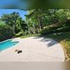 The pool patio after PolyLevel installation, now evenly lifted and stabilized for a safer and more attractive outdoor space.