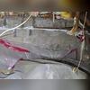 The previously installed crawl space encapsulation system had begun to fail and detach from the framing, allowing moisture to accumulate within the space. Elevated humidity levels created conditions that attracted rodents, which then nested within the existing floor‑joist insulation. Our team...