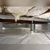 These durable supports strengthen the foundation while creating a safer, more level living space above.
