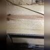 Excess humidity in the crawl space was allowing mold to grow on floor joists and boards.