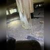From the looks of this post, there has been standing water in this crawl space for some time now.