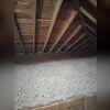 We removed all of the gross fiberglass insulation and replaced it with TruSoft Cellulose!