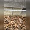 While it may seem beneficial to ventilate a crawlspace with exterior vents like those shown in the photo, this approach often does more harm than good. Open vents allow outside elements to enter the crawlspace, including humid air, cold air, warm air, and even water. This constant exchange of...