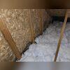 Mold had begun to grow on the walls and insulation of this attic.