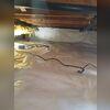 This crawl space has been encapsulated for good, preventing water and moisture from entering the home.