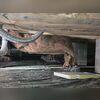 The crawl space had standing water around the perimeter and mold was growing on the insulation and wood.