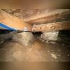 The subfloor of this home was uneven, due to wet soil in the crawl space, which had caused shifting and failure of footings and piers.