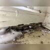 With the customer's permission, we drilled into the wooden baseboards and walls throughout the kitchen and injected a foaming termiticide.
