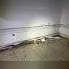 Both versions of the termiticide create a protective zone that is undetectable to the termites. These wood-destroying pests will come in contact with the termiticide, bring it back to their nest, and then transfer it throughout their colony. The termiticide then spreads rapidly throughout their...