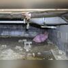 The existing crawl space was very moldy before we came and encapsulated.