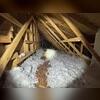 The blown-in fiberglass insulation was no longer cutting it for this homeowner. They requested we add insulation overtop to achieve an R49.