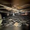 Here is the crawl space before Fortress repairs.
