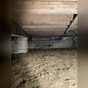 This crawl space shows damp, uneven ground and failing insulation that needs attention.