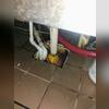 The reasons why the kitchen had such a high infestation of fruit flies was due to the number of sanitation issues throughout the area. The floor drains were dirty and filled with a bunch of debris, a number of the trash cans still had garbage in it from the previous night...