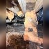 Moisture is causing the insulation to rot and fall apart.
