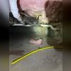 The damp crawl space before encapsulation.