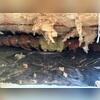 In this photo, you can see hanging insulation and a dirty vapor barrier.